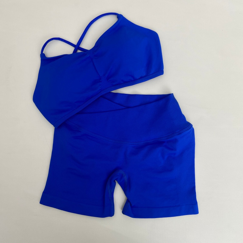 Conjunto de Roupas de Ginástic - Aquatic Sports Bra avaliação e preço